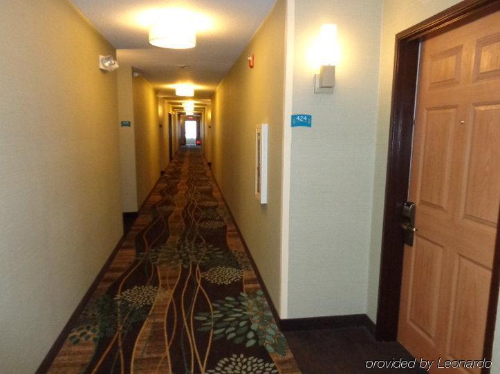 Staybridge Suites Colorado Springs North By Ihg Exterior foto